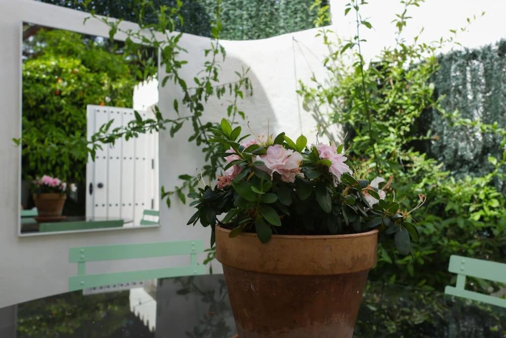 הוילה Casa Bela, En Marbella Muy Cerca De La Playa מראה חיצוני תמונה